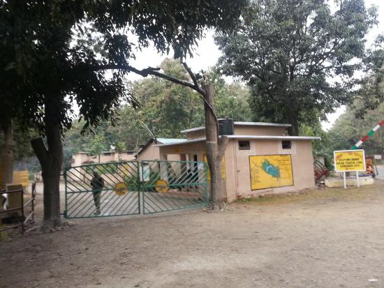 Bijrani Zone Safari image 2