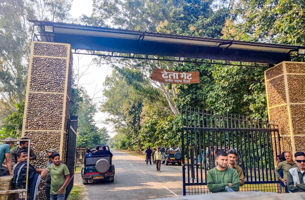 Jhirna Zone Safari image 2