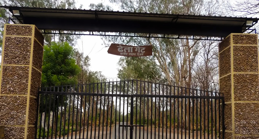 Jhirna Zone Safari image 4