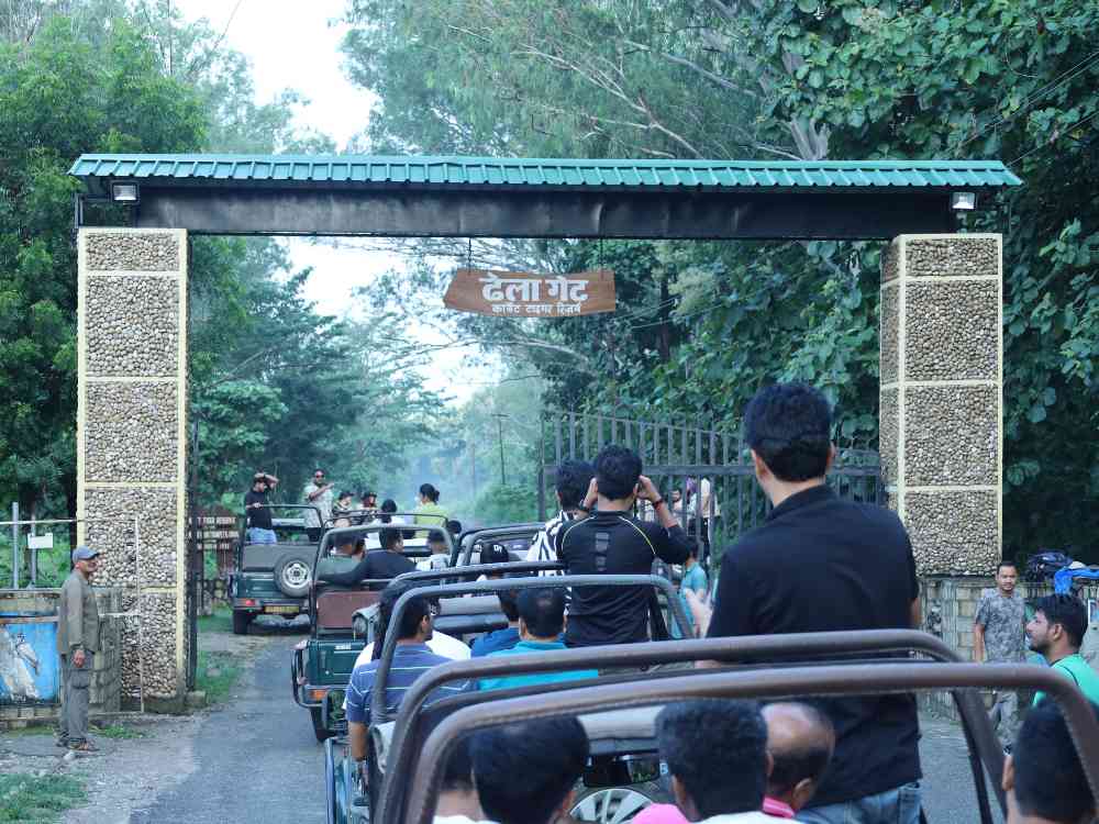Dhela Zone Safari