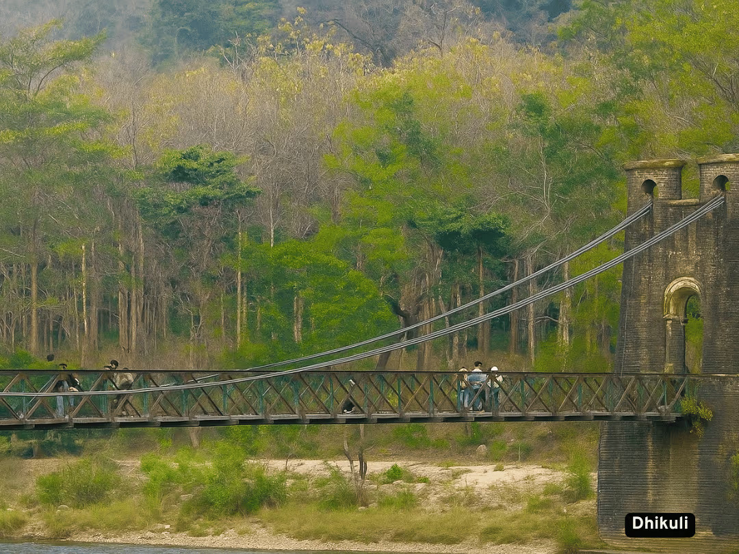 Dhikuli Eco-Tourism Safari image 2