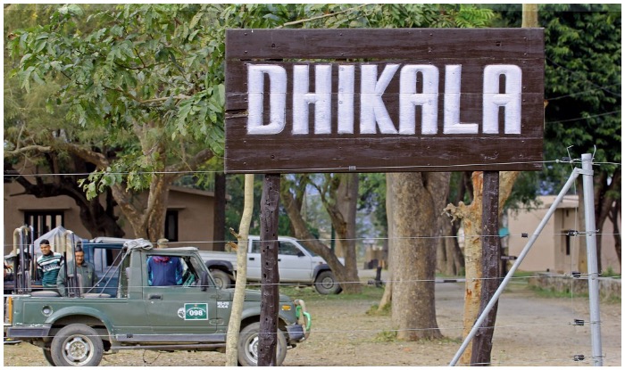 Dhikala Zone Safari
