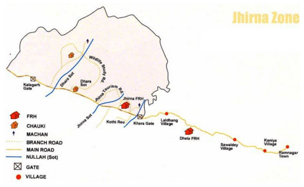 Jhirna Zone Safari image 5